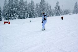 Alta Val Badia (146), Chiara R (43), Sci Alpino (290)